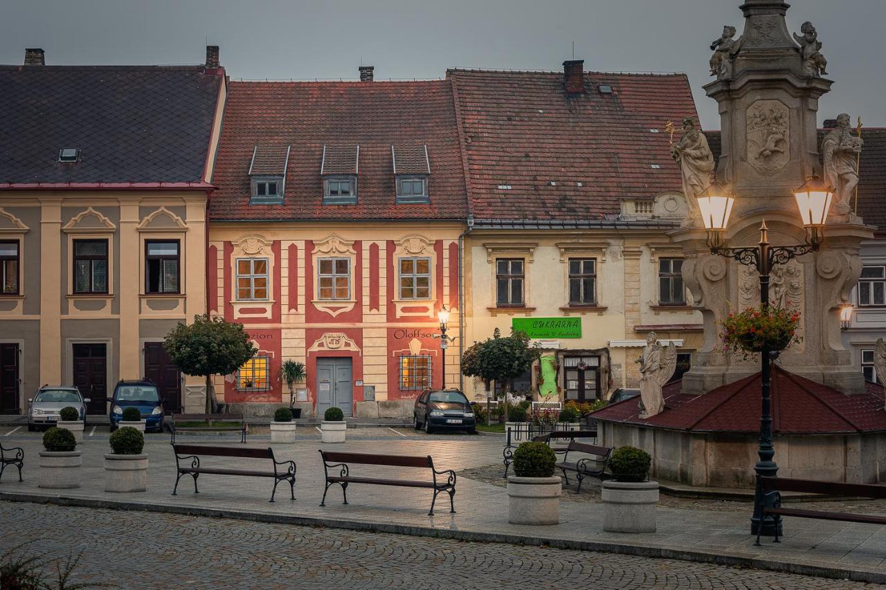 Penzion Oloffson Počátky 外观 照片